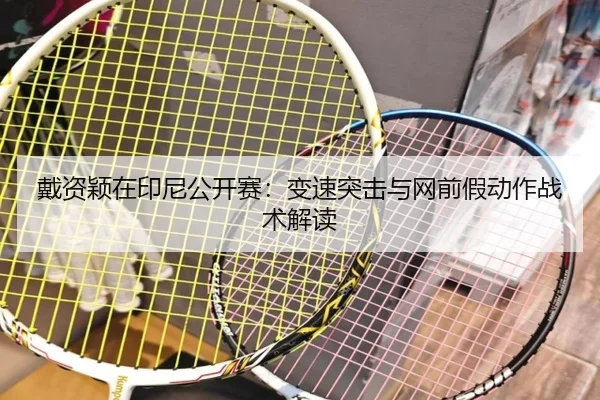 dai-zi-ying-zai-yin-ni-gong-kai-sai-bian-su-tu-ji-yu-wang-qian-jia-dong-zuo-zhan-shu-jie-du-3-869.jpg